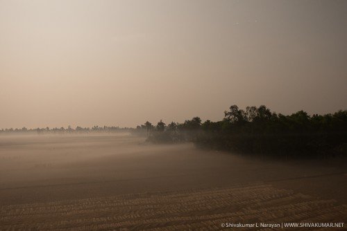 Moonlit landscapes of paddy fields in Sundarbans