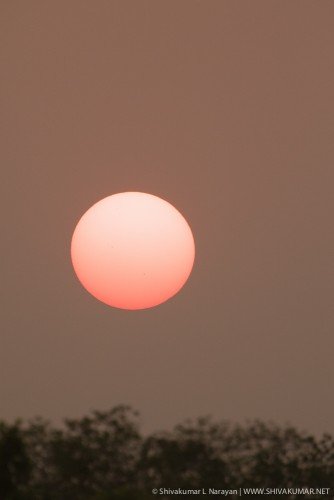 Recording in progress / Sunset at Sundarbans